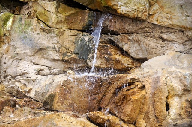 How many days a human can survive without drinking water?