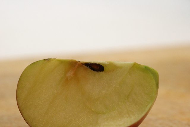 Freshly cut apples immediately turn brown because of oxidation