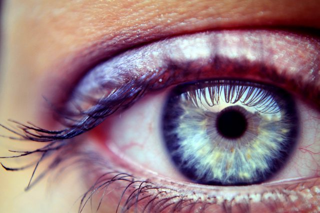 Human eyes size